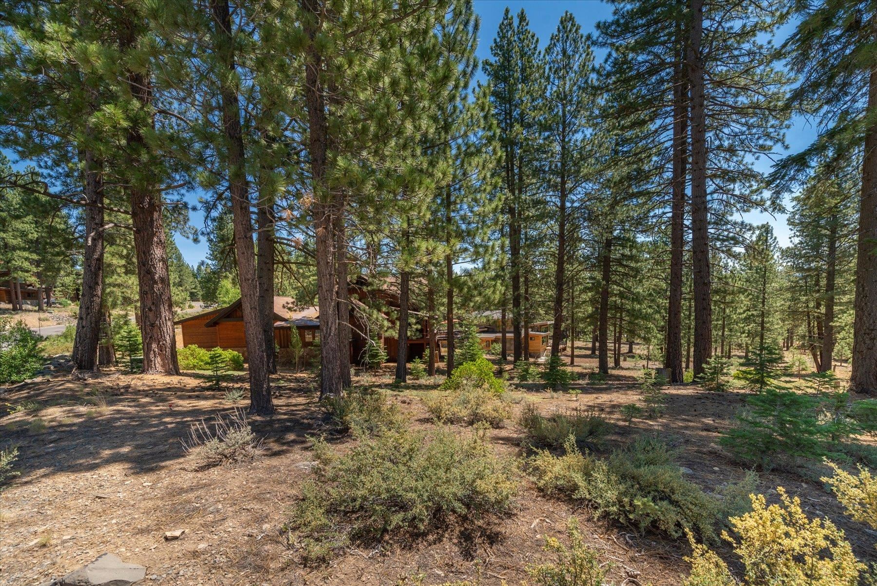 11417 China Camp Road Truckee, CA 96161 - Photo 6 of 19