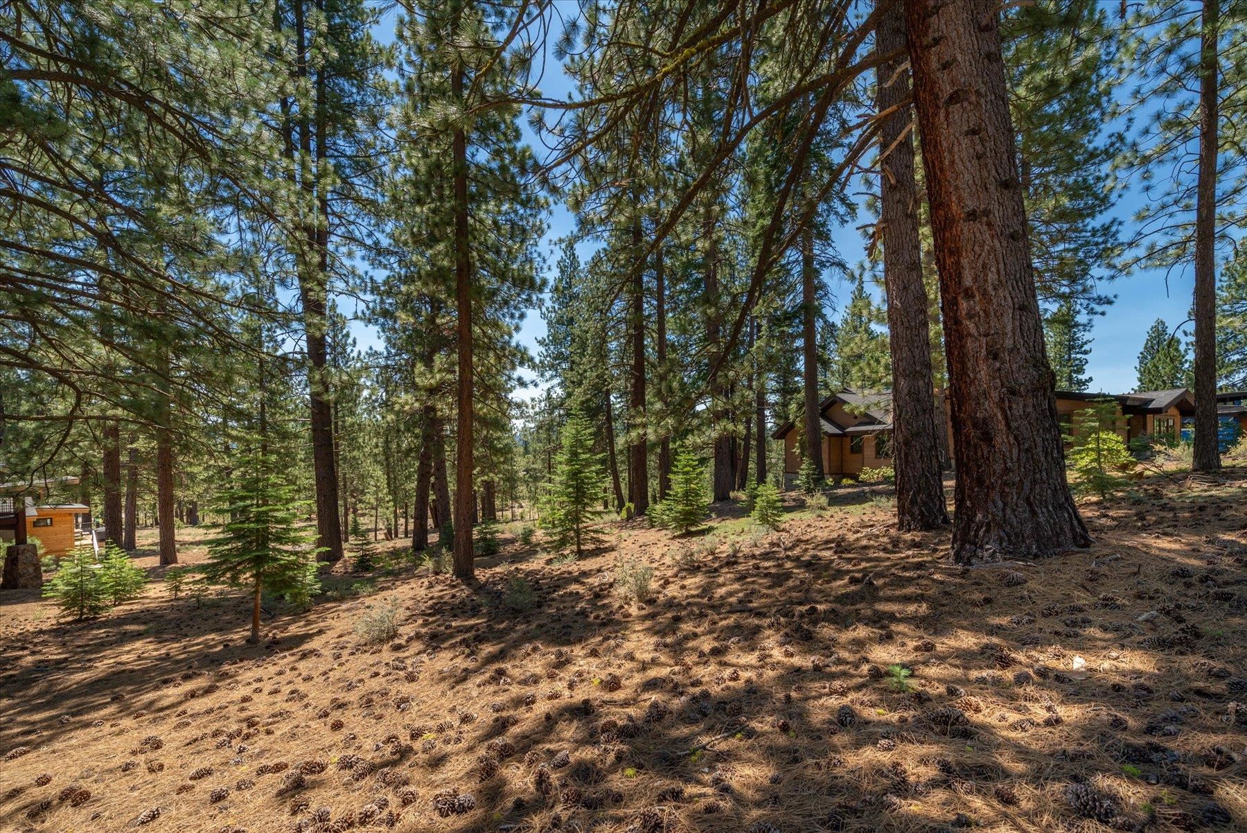 11417 China Camp Road Truckee, CA 96161 - Photo 7 of 19