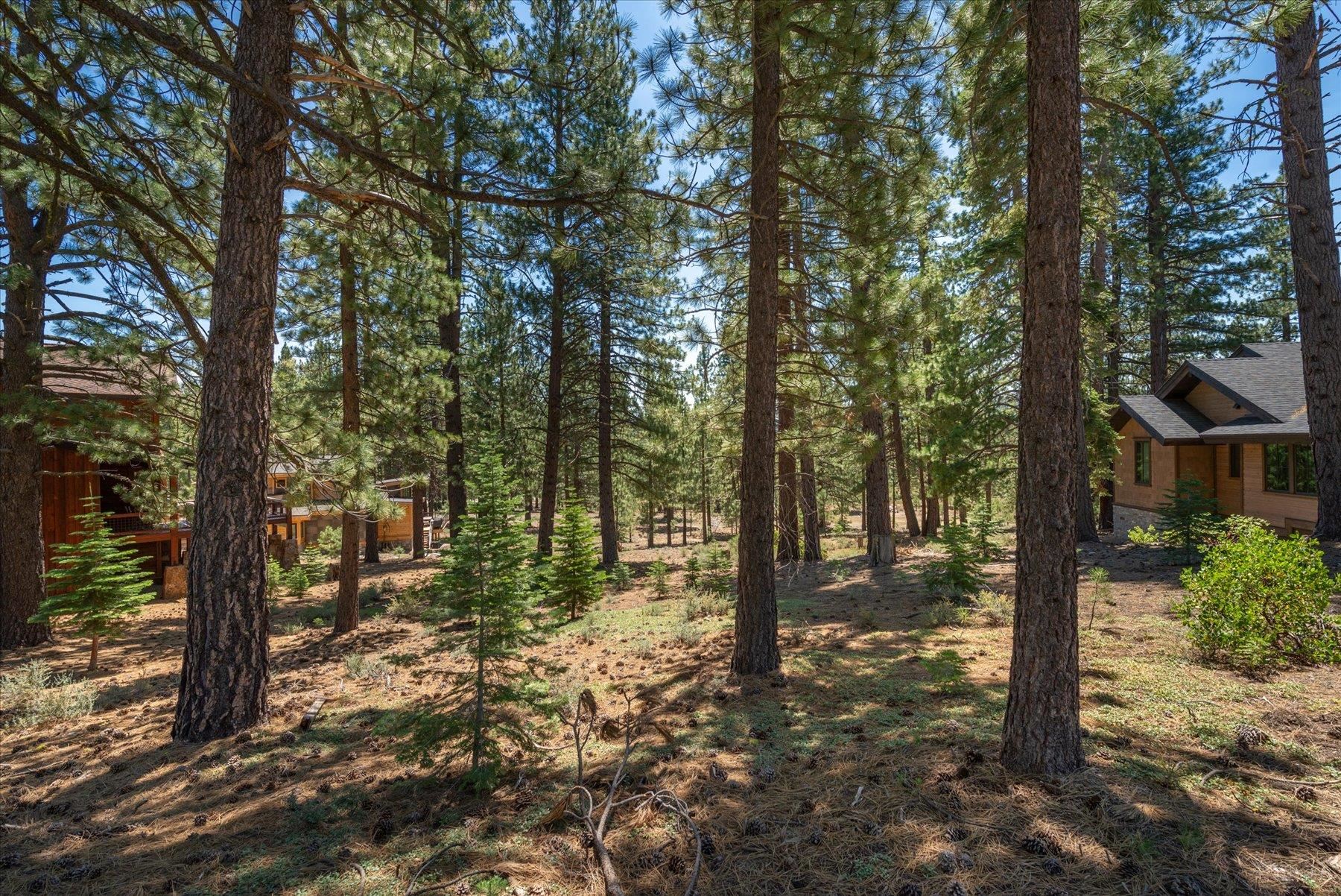 11417 China Camp Road Truckee, CA 96161 - Photo 8 of 19