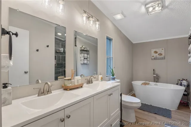 a bathroom with a double vanity sink toilet mirror and bathtub
