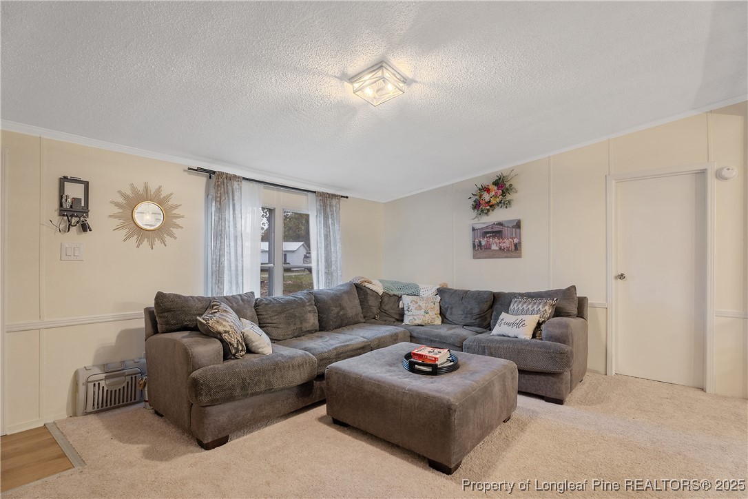 54 West Tryon Court Spring Lake, NC 28390 - Photo 9 of 43 a living room with furniture and a couch