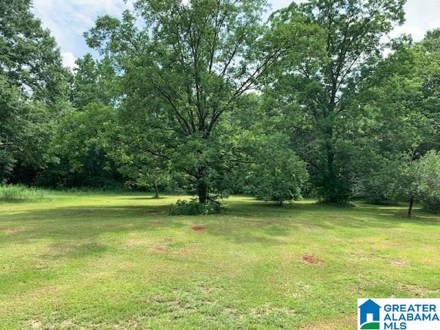 435 Cove Road Wilsonville, AL 35186 - Photo 10 of 10
