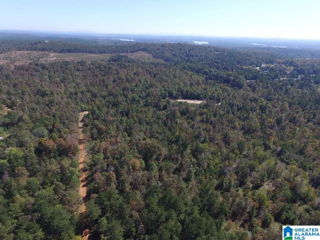 Sprayberry Road, Unit 103 Cropwell, AL 35054 - Photo 4 of 48
