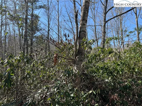 $35,000 | 134 Goldfinch Road, Newland, NC 28657