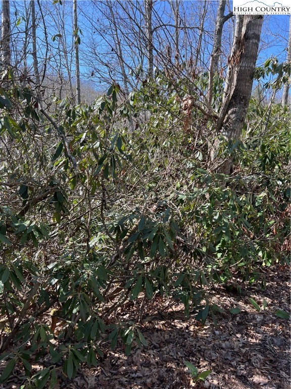 134 Goldfinch Road Newland, NC 28657 - Photo 2 of 2