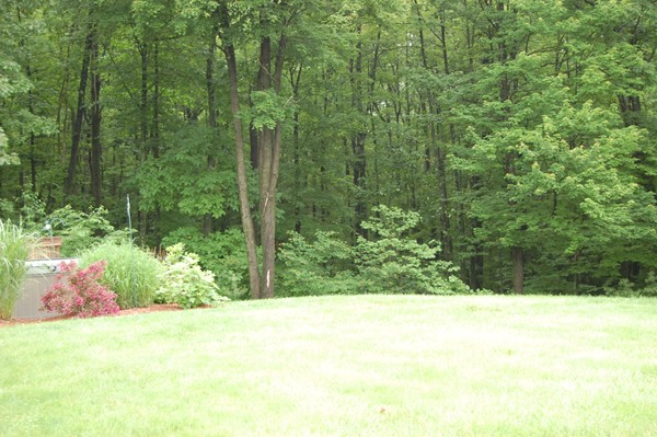 99 Barker Hill Road Townsend, MA 01469 - Photo 3 of 18 Gallery Image 3