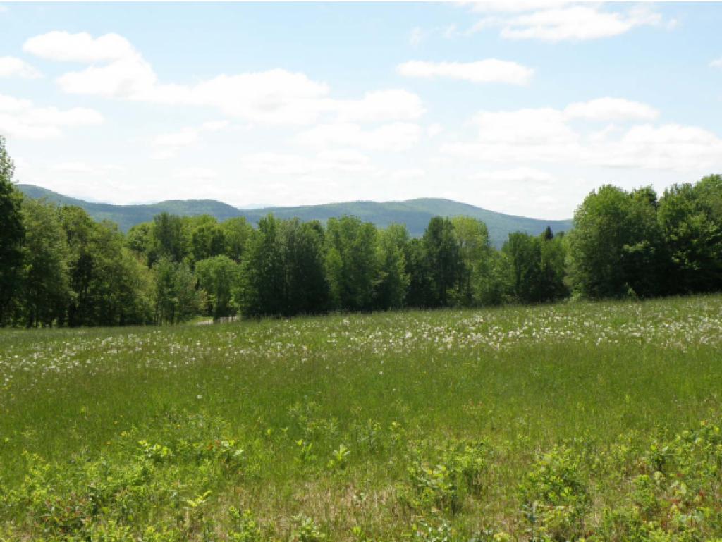 750 Burroughs Road Kirby, VT 05824 - Photo 3 of 16 Gallery Image 3