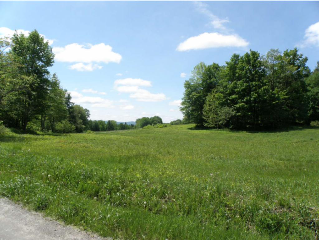 750 Burroughs Road Kirby, VT 05824 - Photo 5 of 16 Gallery Image 5