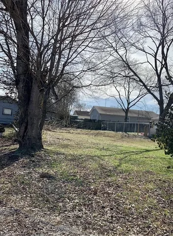 a view of a yard with a tree