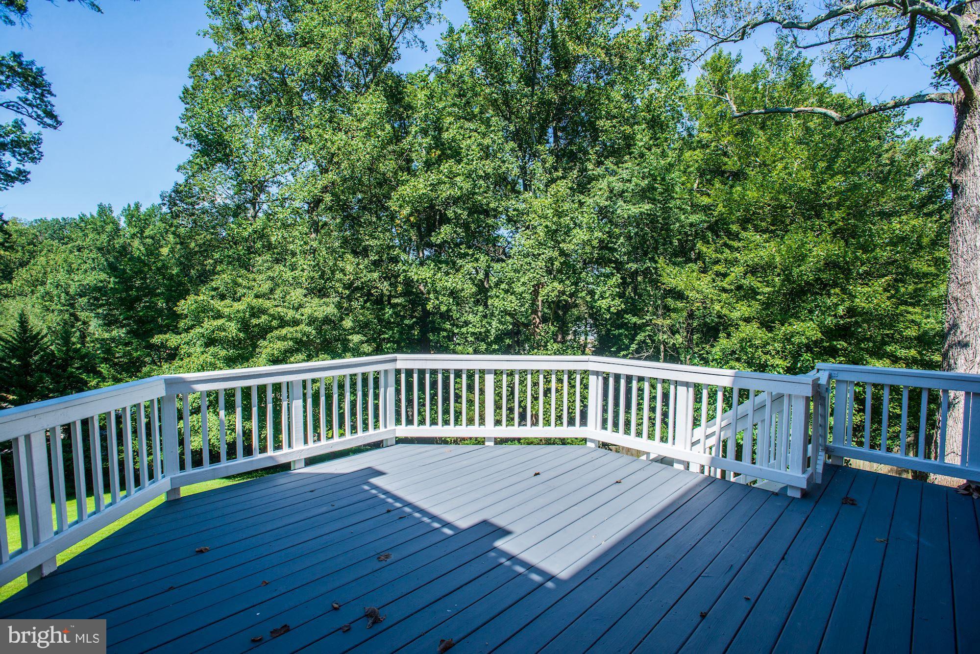 8710 Overlook Road McLean, VA 22102 - Photo 18 of 47 Deck - Treed Views