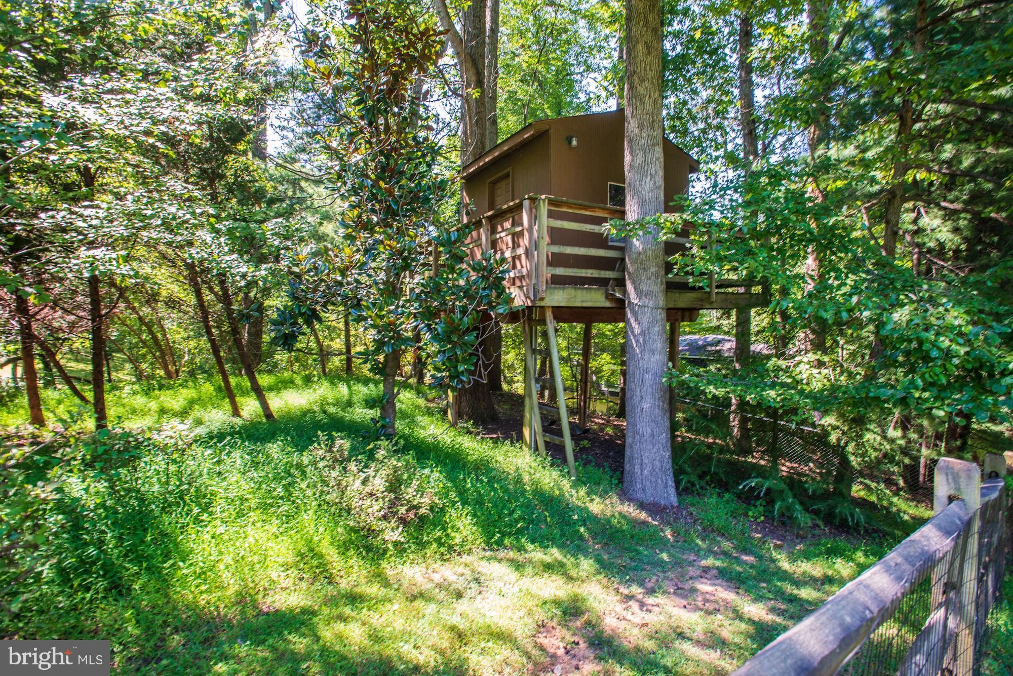 8710 Overlook Road McLean, VA 22102 - Photo 45 of 47 Playhouse