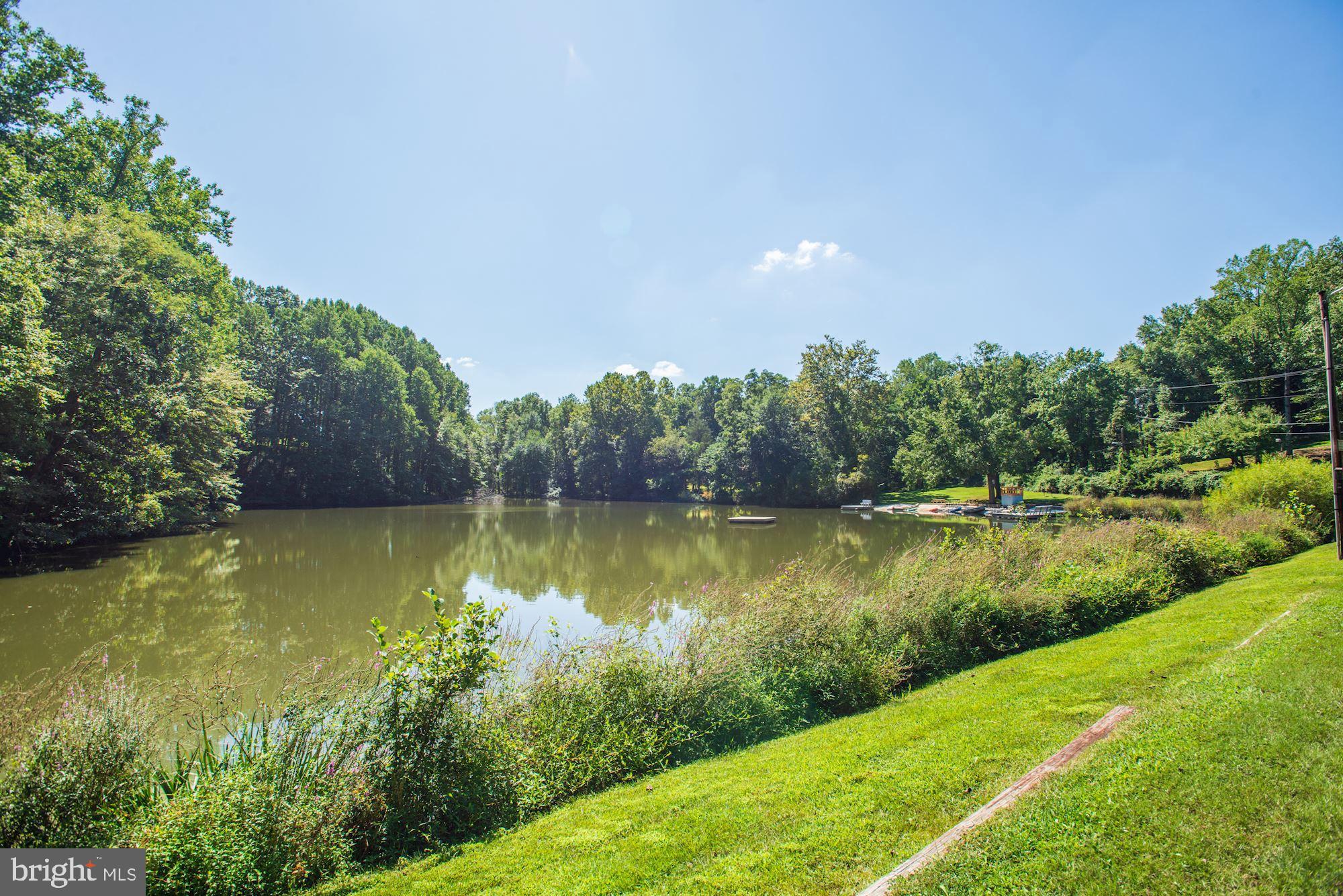 8710 Overlook Road McLean, VA 22102 - Photo 46 of 47 Community Lake