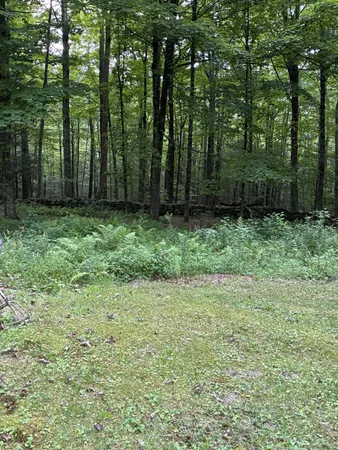 a view of outdoor space and green space