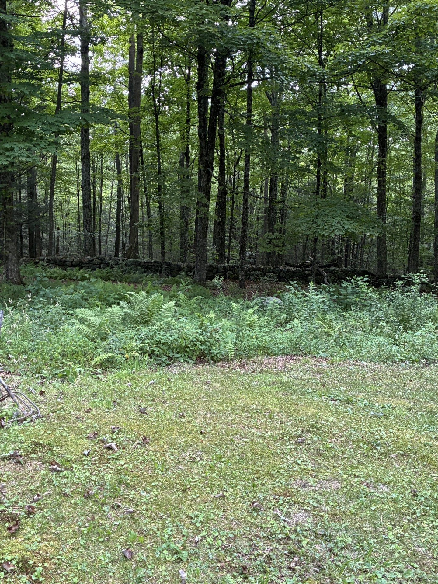 186 Mill Street Hartland, CT 06091 - Photo 24 of 33 a view of outdoor space and green space