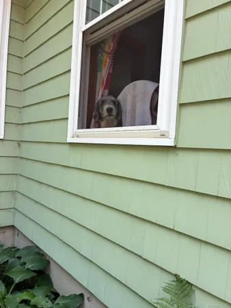 a view of water heater