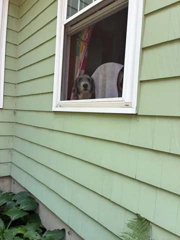 a view of water heater