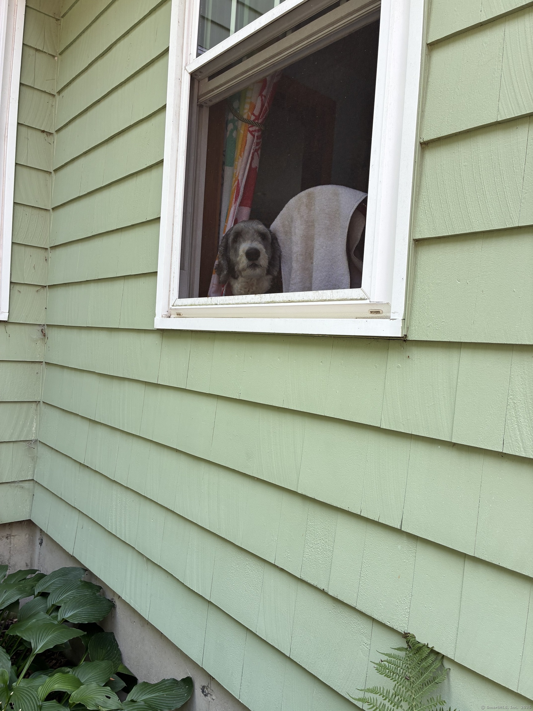 186 Mill Street Hartland, CT 06091 - Photo 31 of 33