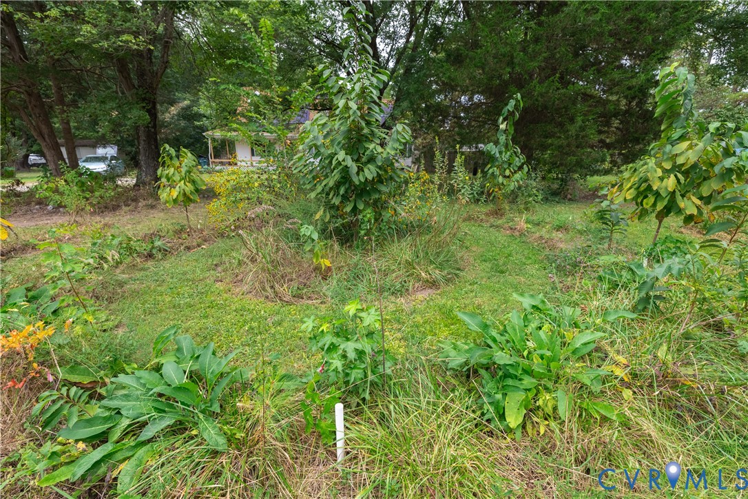 2500 Meadow Road Sandston, VA 23150 - Photo 47 of 50 View of nature