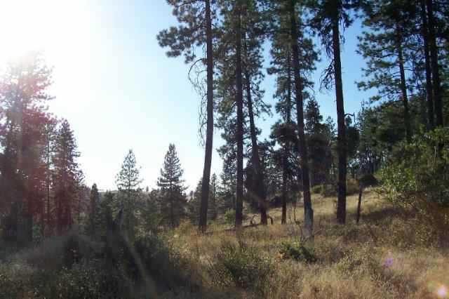 0 North Feehan Road, Unit PARCEL 1 Mead, WA 99021 - Photo 4 of 7