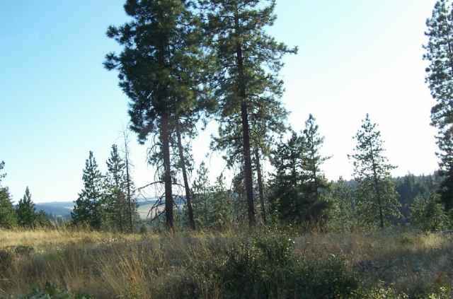 0 North Feehan Road, Unit PARCEL 1 Mead, WA 99021 - Photo 5 of 7