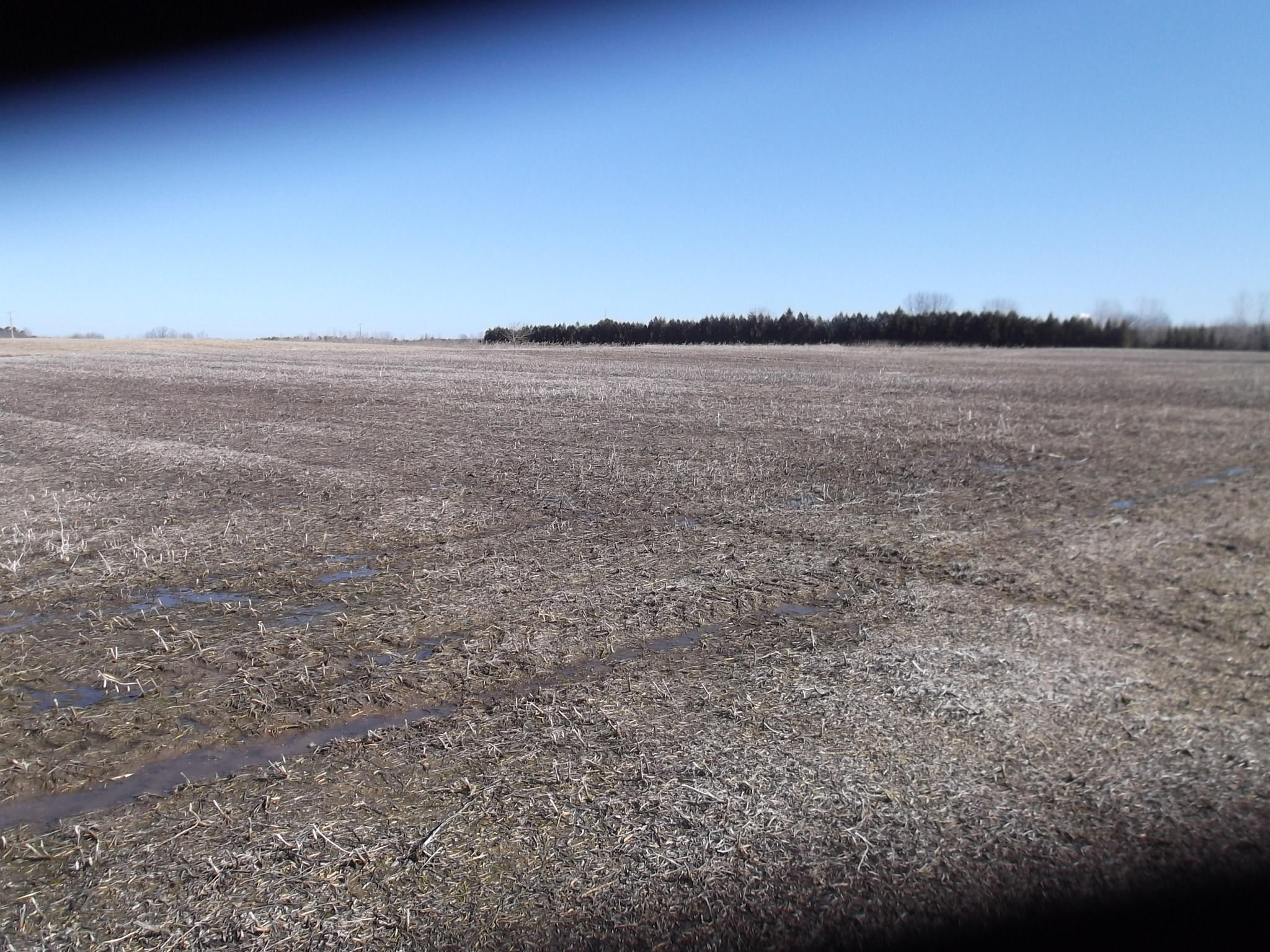 Lot 99 North County Road Reedsville, WI 54230 - Photo 1 of 1 1