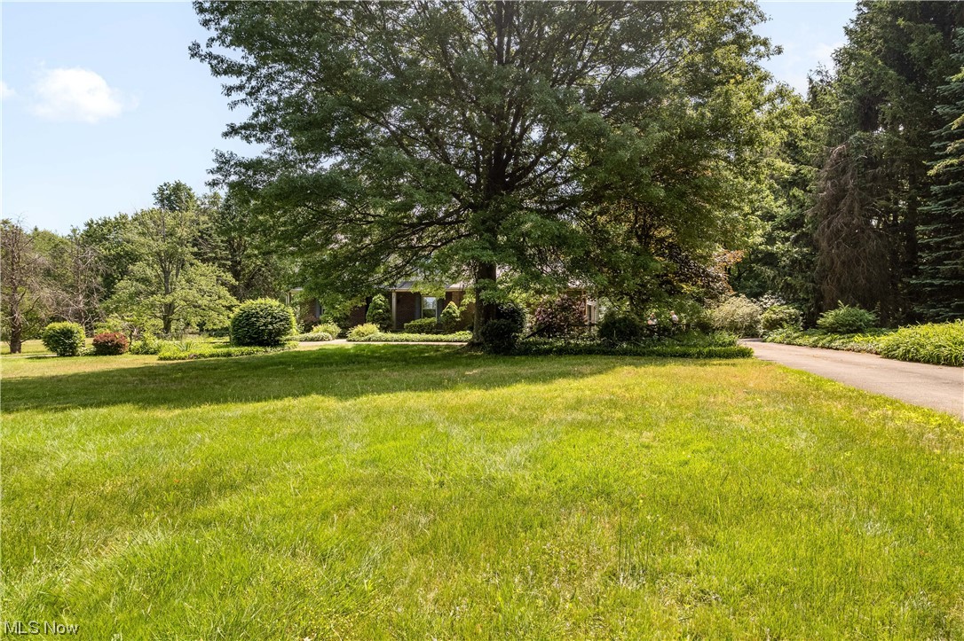 3177 Pickle Road Akron, OH 44312 - Photo 2 of 32 View from the edge of front yard