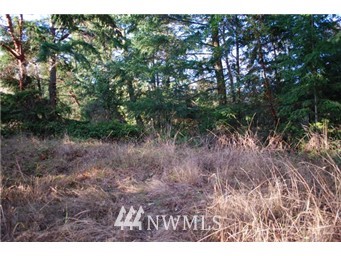 2-lots Cape George Road Port Townsend, WA 98368 - Photo 2 of 11 Gallery Image 2