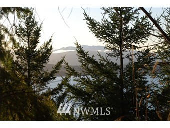2-lots Cape George Road Port Townsend, WA 98368 - Photo 7 of 11 Gallery Image 7