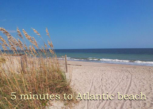 A-9 Oristo Ridge Edisto Island, SC 29438 - Photo 2 of 24 1a1 copy