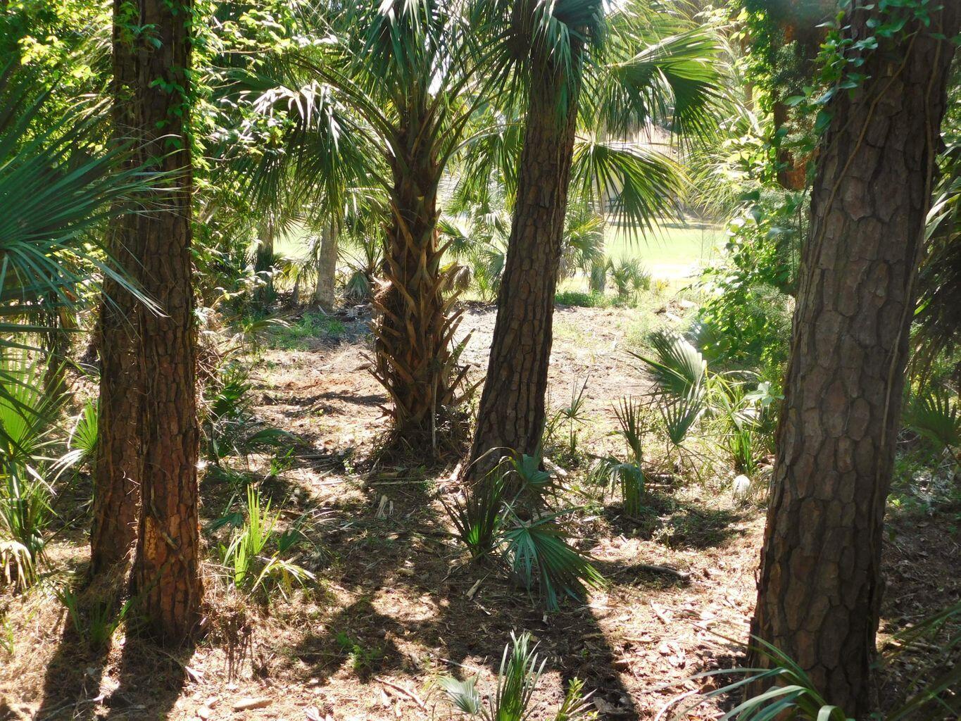 A-9 Oristo Ridge Edisto Island, SC 29438 - Photo 12 of 24 4