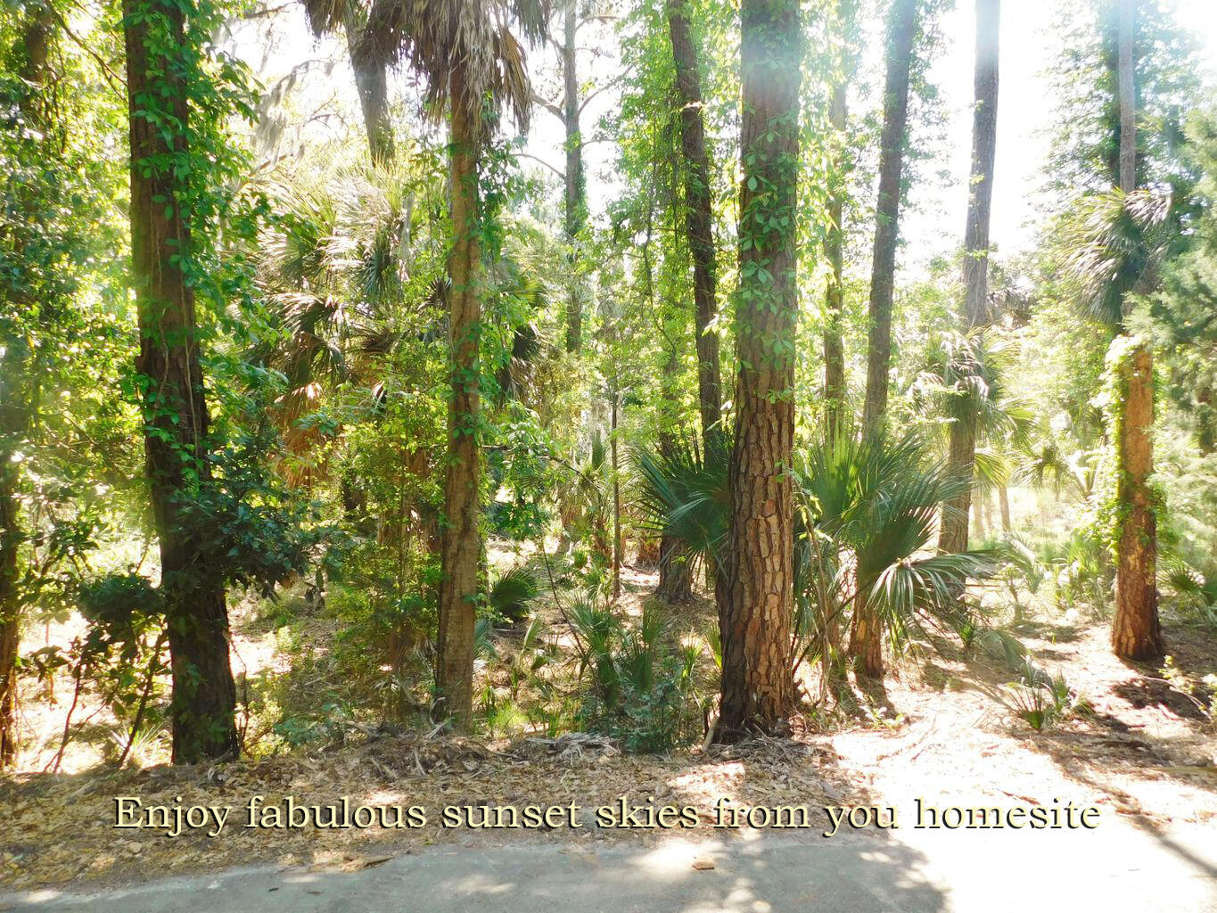 A-9 Oristo Ridge Edisto Island, SC 29438 - Photo 14 of 24 6 copy