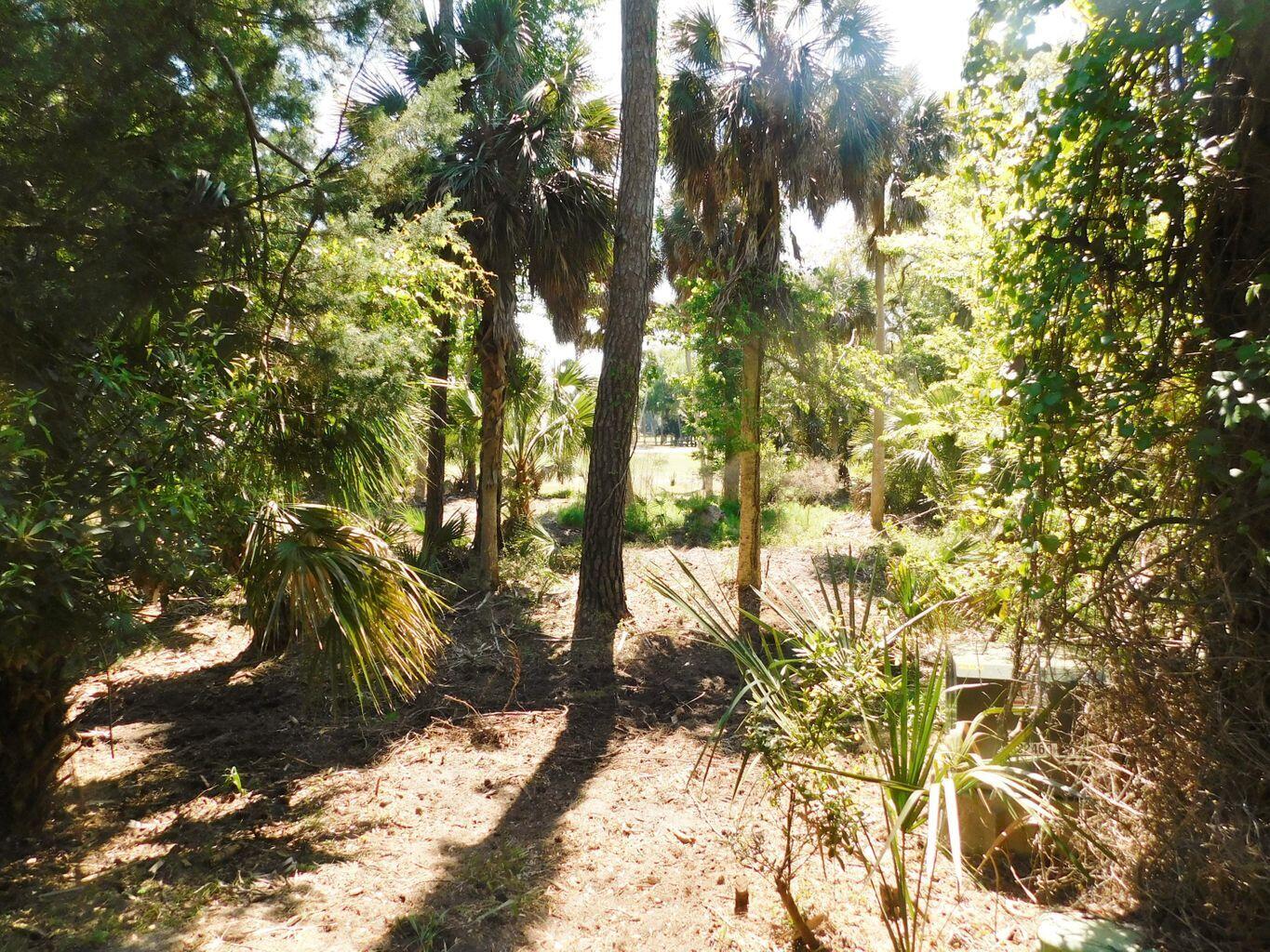 A-9 Oristo Ridge Edisto Island, SC 29438 - Photo 17 of 24 12