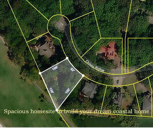 A-9 Oristo Ridge Edisto Island, SC 29438 - Photo 3 of 24 1a2 copy