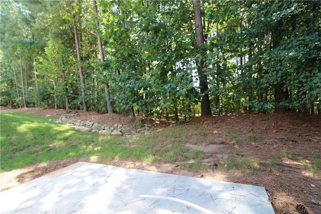 4753 Beacon Ridge Lane Flowery Branch, GA 30542 - Photo 20 of 22
