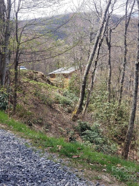 0 Old Crow Road, Unit 74/75 Maggie Valley, NC 28751 - Photo 11 of 21 Gallery Image 11