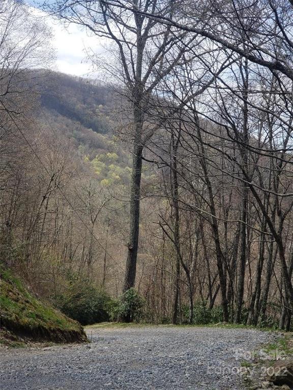 0 Old Crow Road, Unit 74/75 Maggie Valley, NC 28751 - Photo 12 of 21 Gallery Image 12