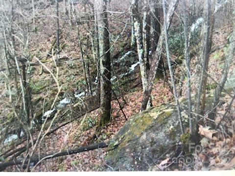 0 Old Crow Road, Unit 74/75 Maggie Valley, NC 28751 - Photo 13 of 21 Gallery Image 13