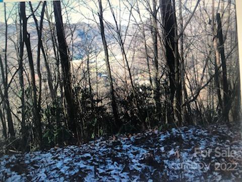 0 Old Crow Road, Unit 74/75 Maggie Valley, NC 28751 - Photo 14 of 21 Gallery Image 14