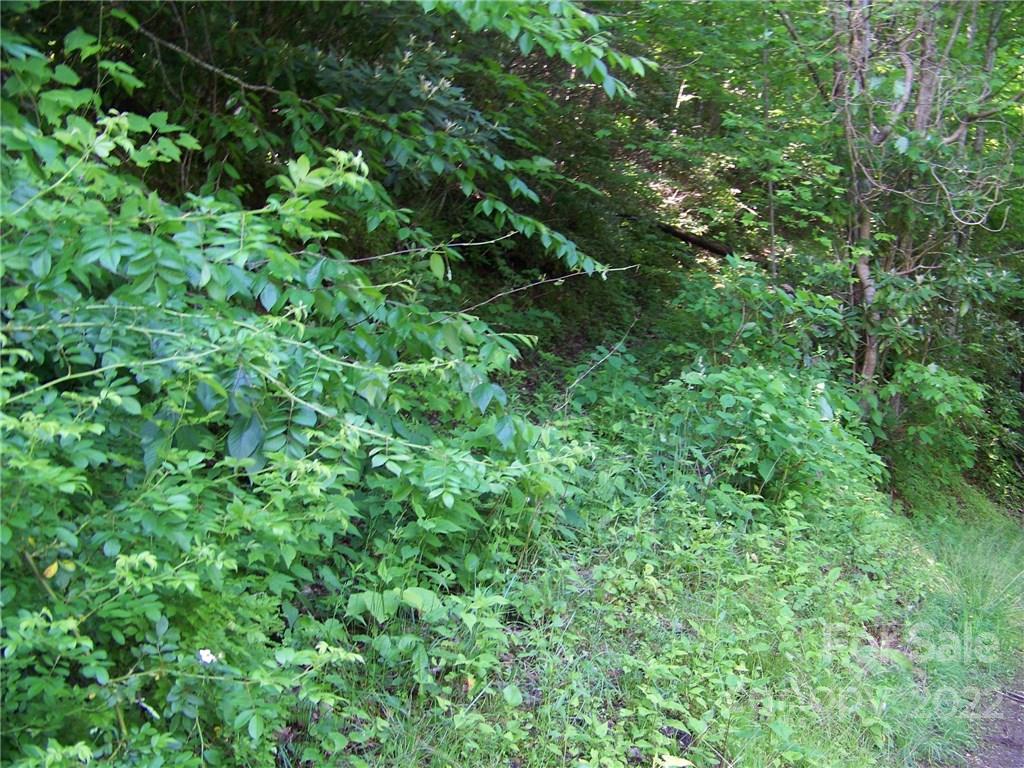 0 Old Crow Road, Unit 74/75 Maggie Valley, NC 28751 - Photo 18 of 21 Gallery Image 18
