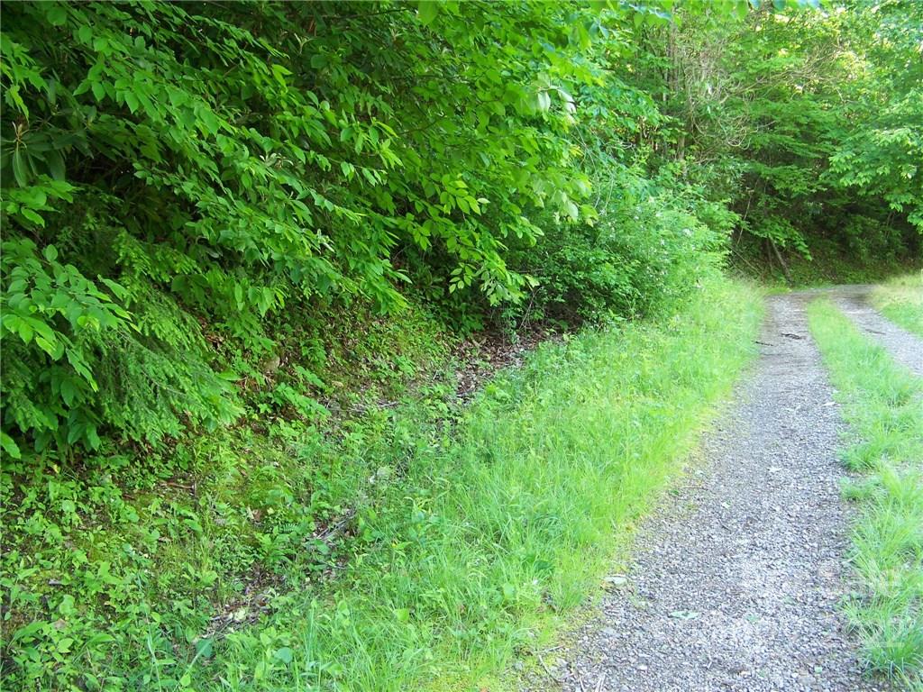 0 Old Crow Road, Unit 74/75 Maggie Valley, NC 28751 - Photo 19 of 21 Gallery Image 19
