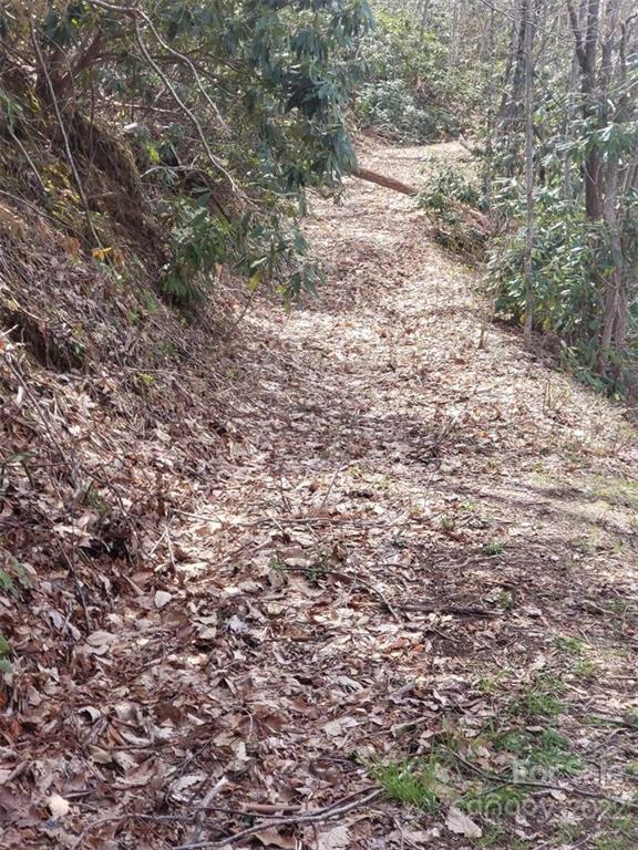 0 Old Crow Road, Unit 74/75 Maggie Valley, NC 28751 - Photo 3 of 21 Gallery Image 3