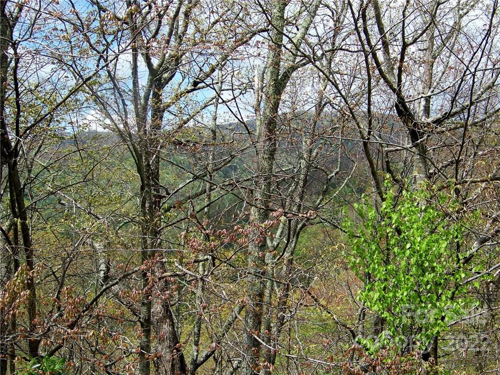 0 Old Crow Road, Unit 74/75 Maggie Valley, NC 28751 - Photo 10 of 21 Gallery Image 10