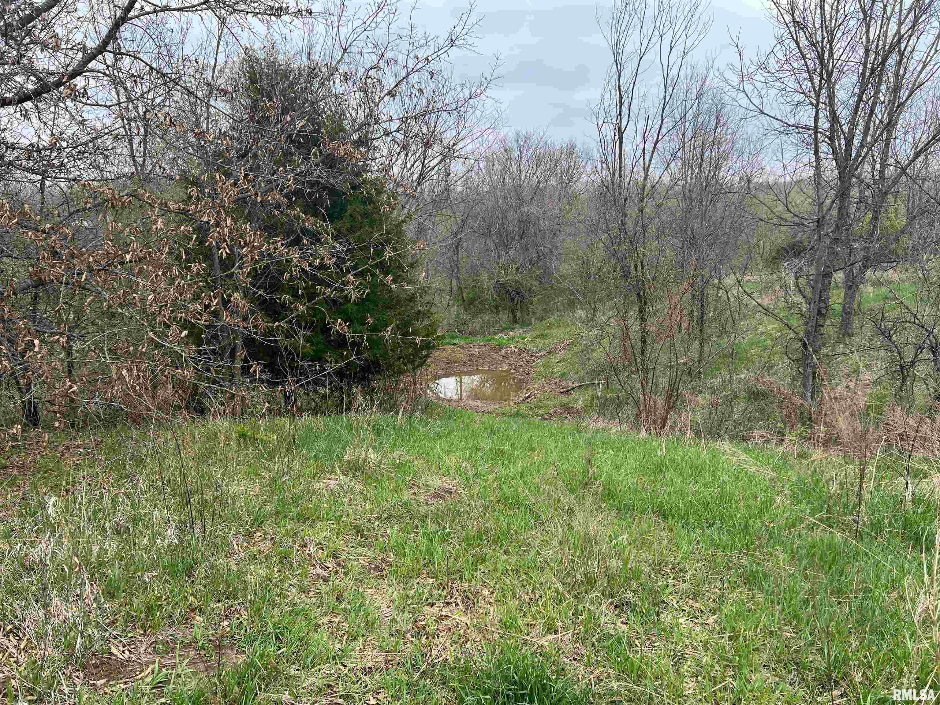 Rr Flower Creek Road Plymouth, IL 62367 - Photo 17 of 30