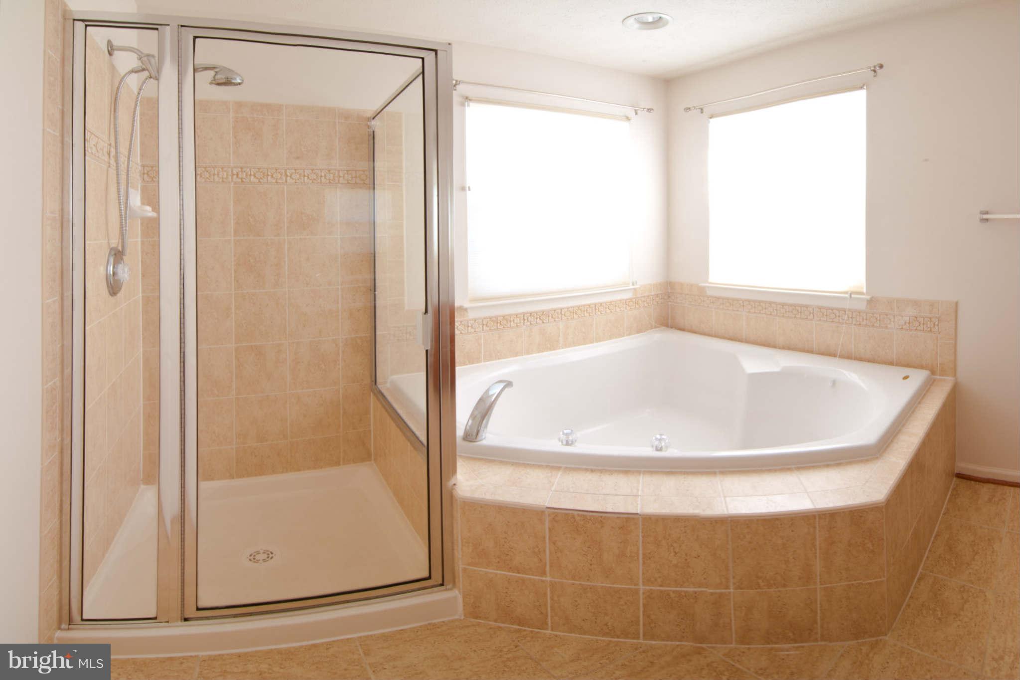 9661 Biggs Road Baltimore, MD 21220 - Photo 17 of 25 a white bath tub sitting next to a shower