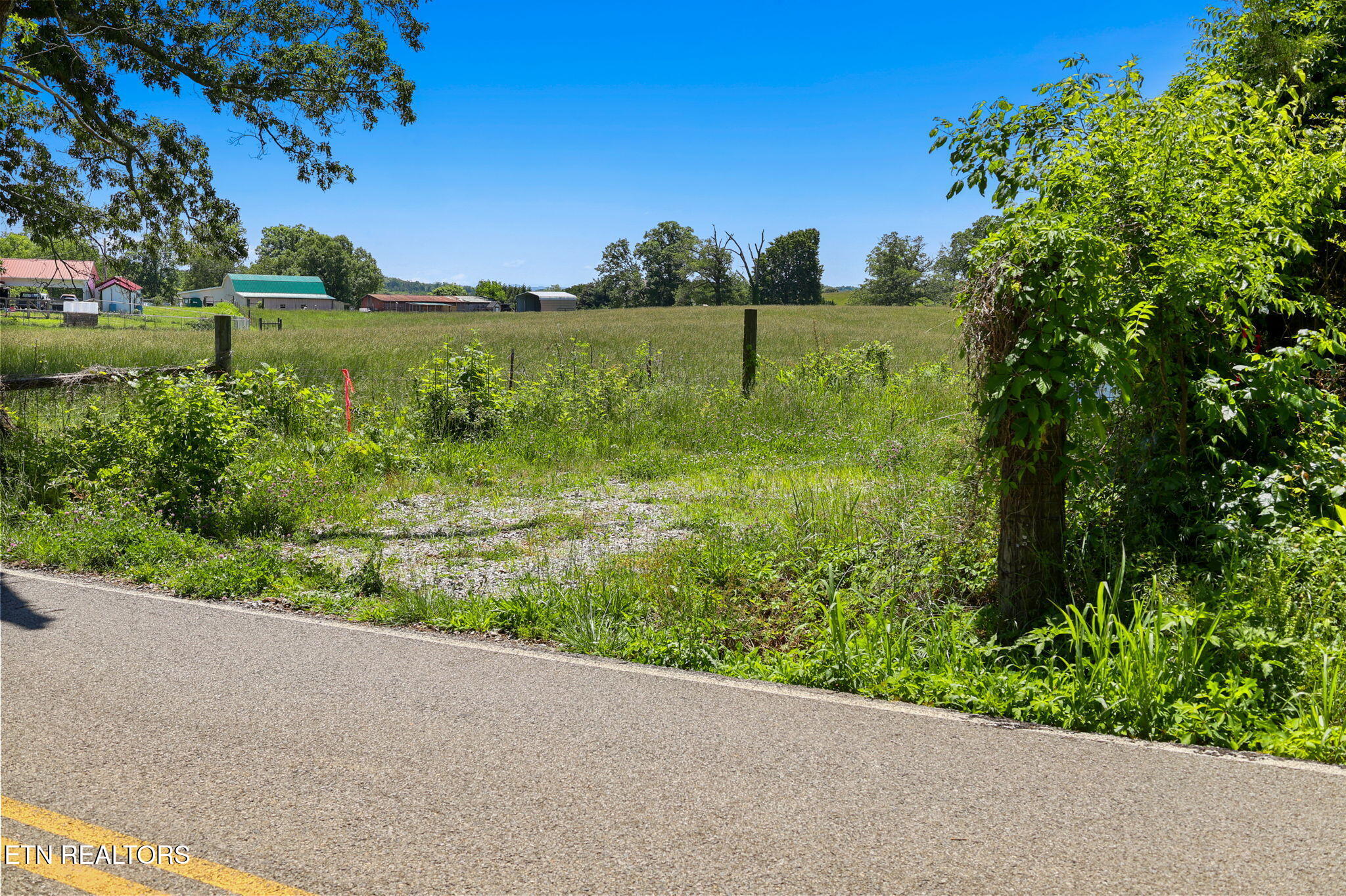 0 Midway Road Lenoir City, TN 37772 - Photo 9 of 9 A10_16-web-or-mls-RS9_9897_1