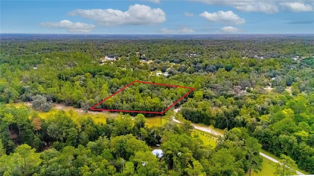 a view of a city with lush green forest