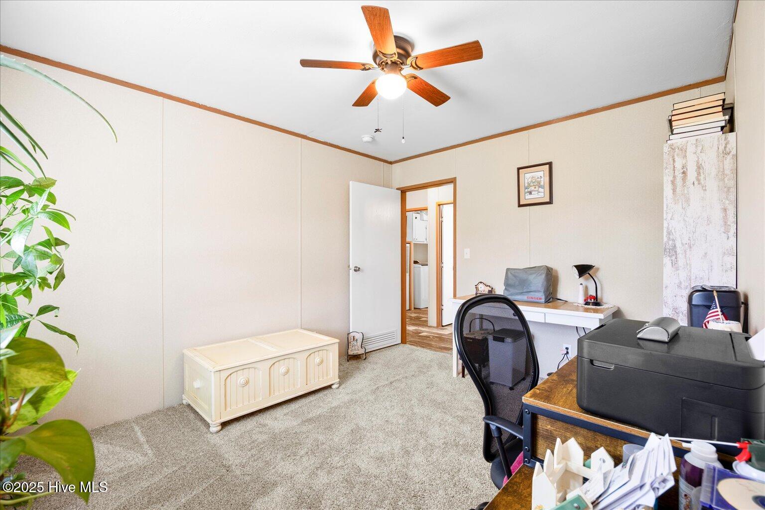 444 Chicken Neck Road Teachey, NC 28464 - Photo 23 of 35 28-IMG_3935