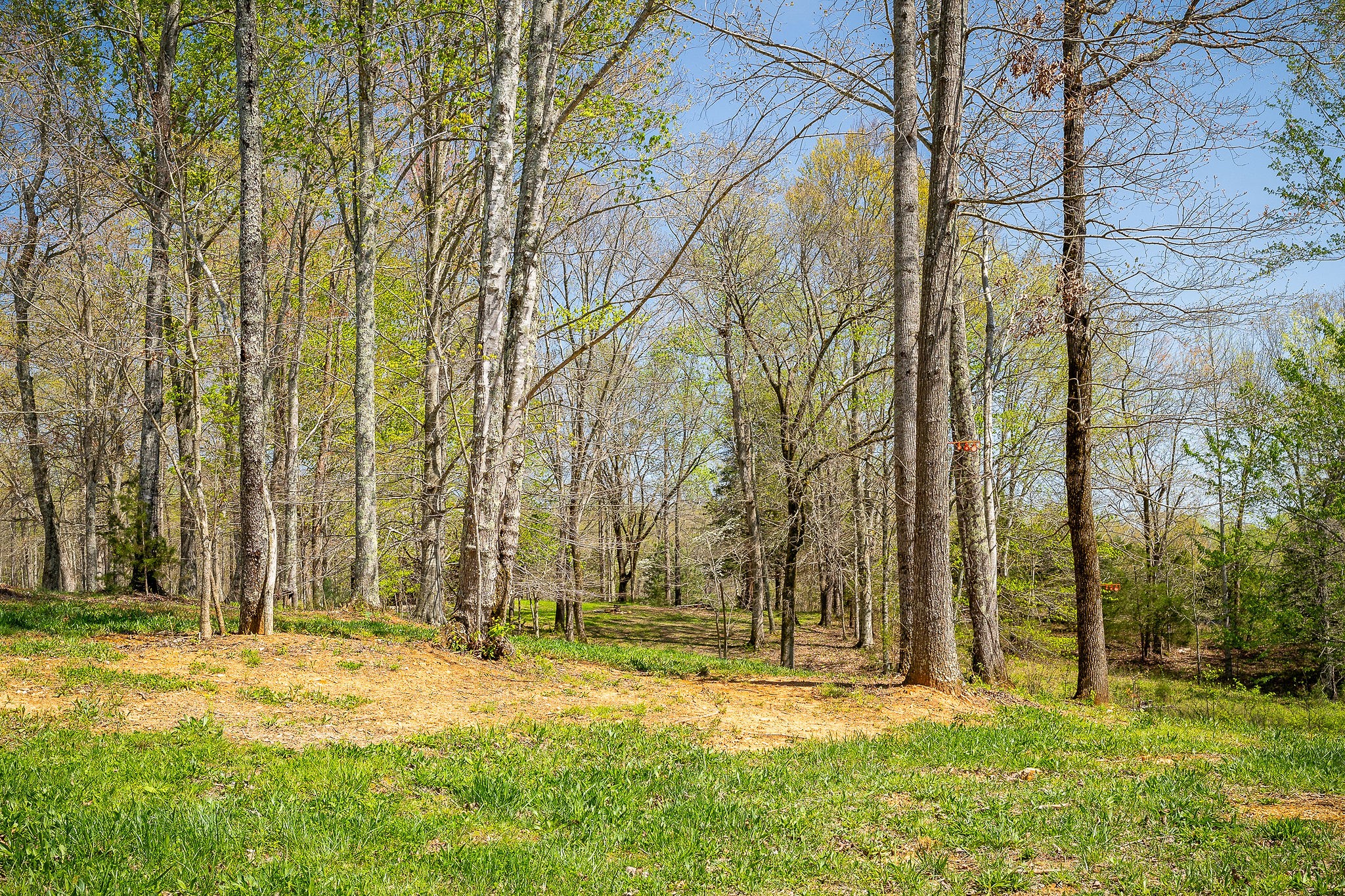 6950 Burgess Falls Road Baxter, TN 38544 - Photo 43 of 51 Gallery Image 43