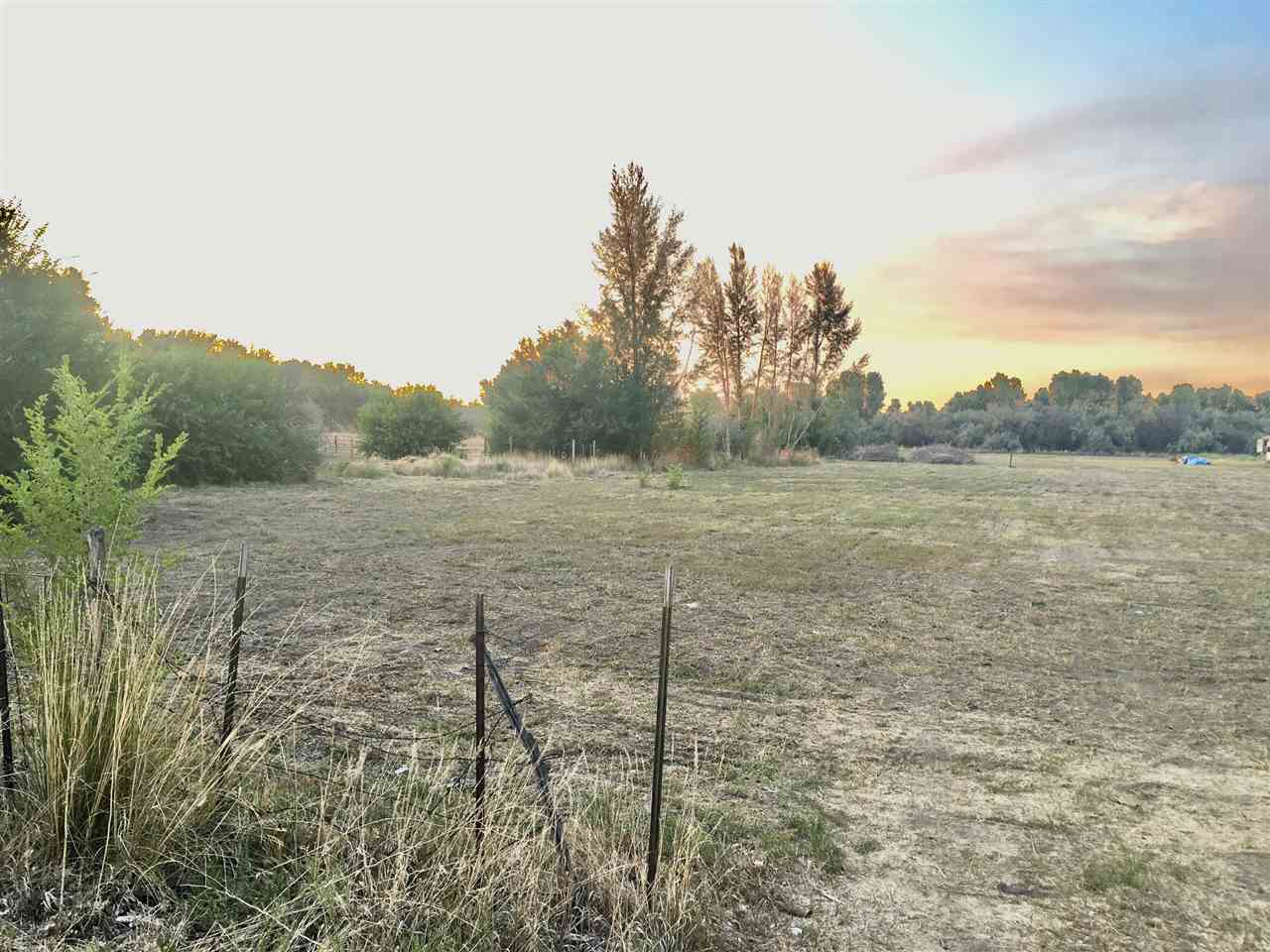 a view of a field with trees in the background