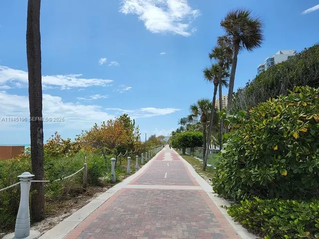 a view of a lake with a palm tree